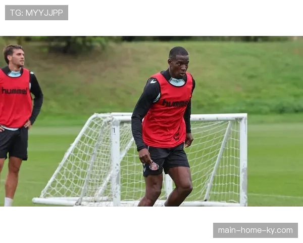 升班马集体表现超越预期 桑德兰与伯恩利展现顽强竞争力